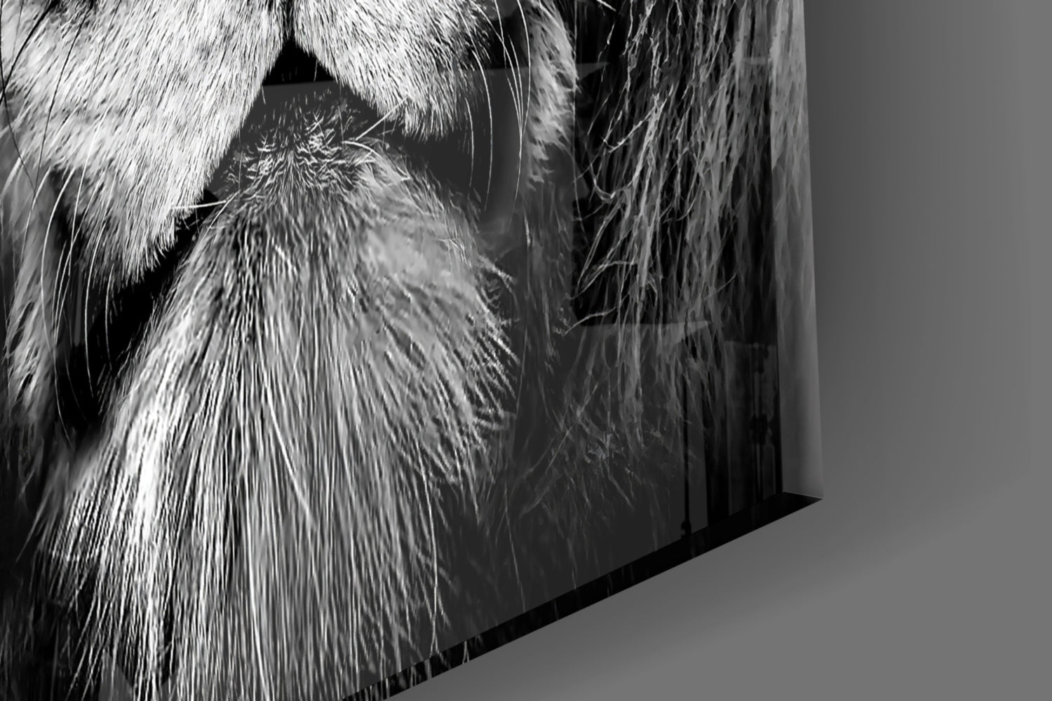 Lion Glass Wall Art.