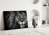 Close-up detail of monochrome lion with amber eyes behind glass