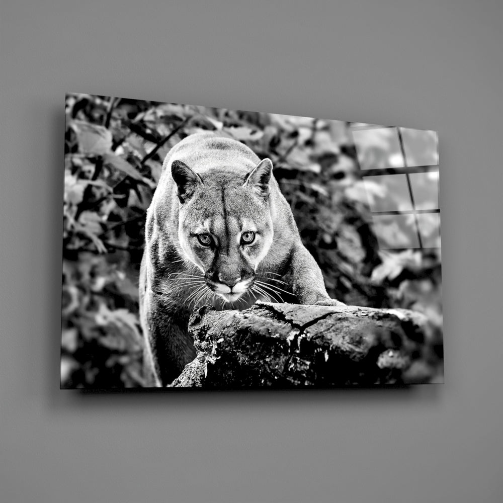 Wildlife panel anchoring a study wall