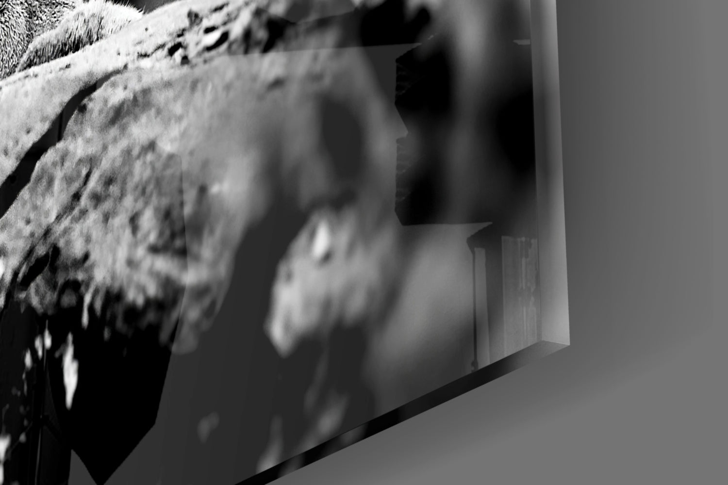 Puma Glass Wall Art.