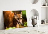 Puma Glass Wall Art.