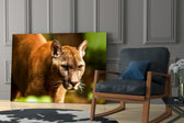 Wildlife yatay panel against an emerald-painted accent wall