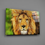 Wildlife panel anchoring a study wall