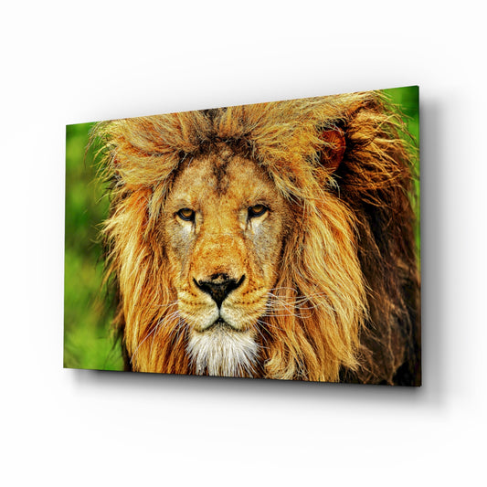 Lion glass wall art in a modern living room