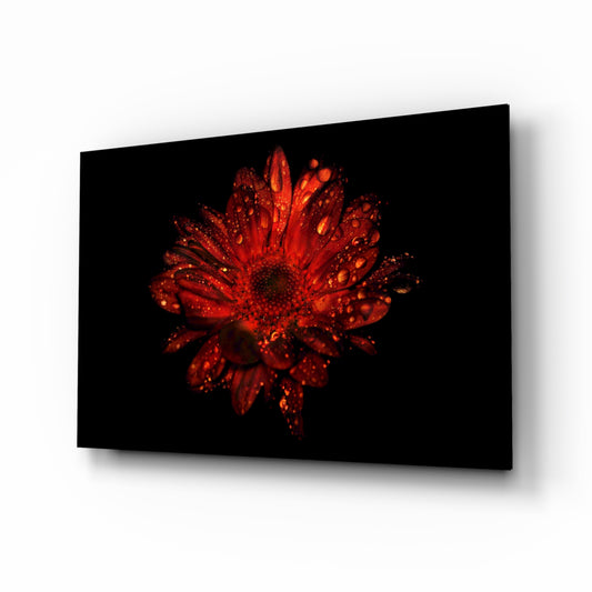 Red gerbera macro cinematic glass wall art above velvet headboard in glamorous bedroom