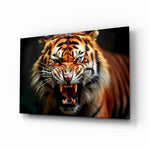 Snarling tiger Bengal cinematic glass wall art above leather chesterfield in gentleman's study