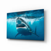Surfacing great white shark cinematic glass wall art above leather chesterfield in man-cave gym