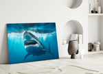 Bared-teeth shark cinematic glass wall art in designer cinema-room