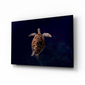 Sea turtle hawksbill cinematic glass wall art above linen sofa in coastal living room