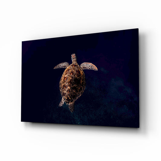 Sea turtle hawksbill cinematic glass wall art above linen sofa in coastal living room