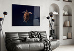 Hawksbill turtle cinematic glass wall art in wellness studio reception