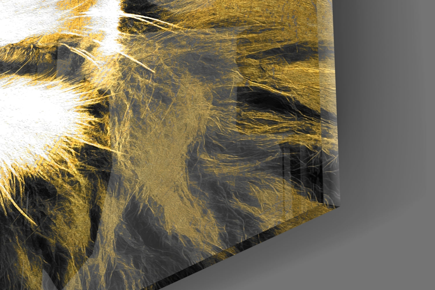 Lion Glass Wall Art.