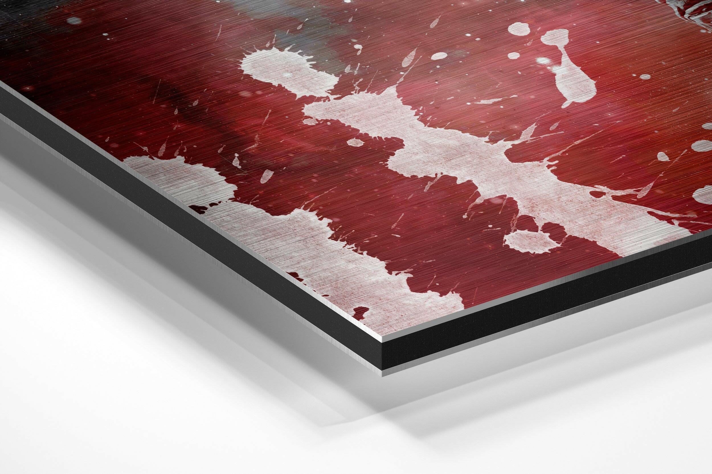 Fly in Space Brushed Aluminium Dibond Wall Art.