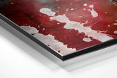Fly in Space Brushed Aluminium Dibond Wall Art.