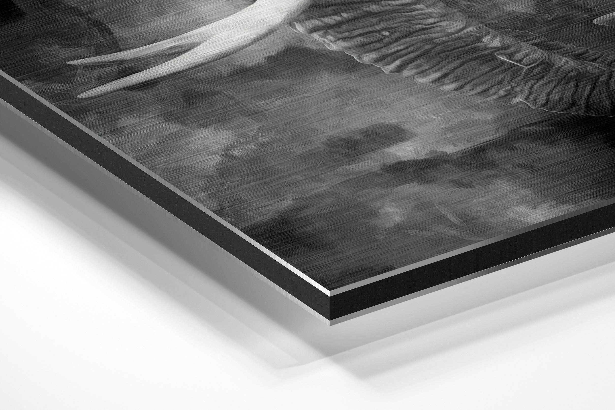 Elephant Brushed Aluminium Dibond Wall Art.