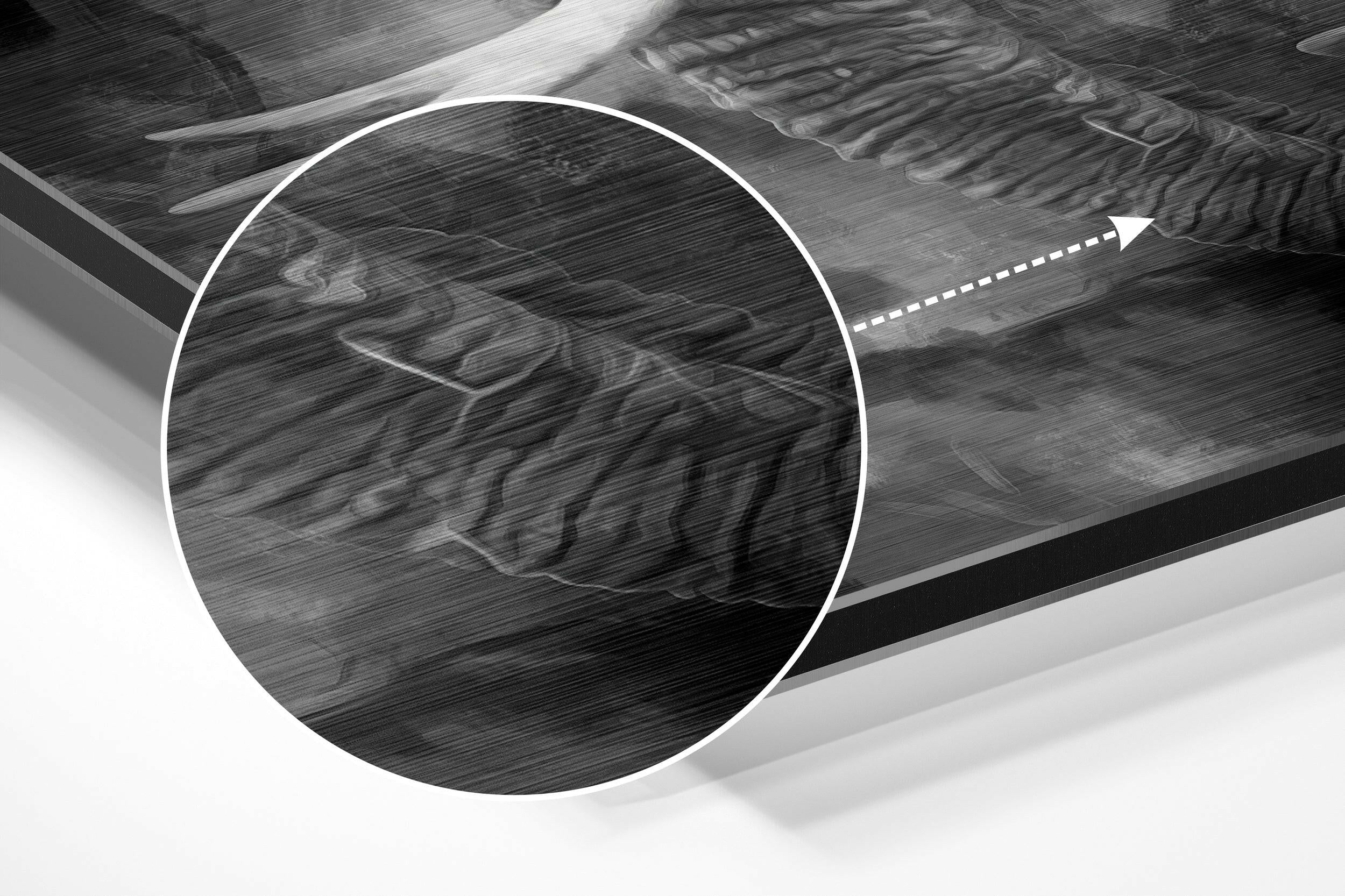 Elephant Brushed Aluminium Dibond Wall Art.