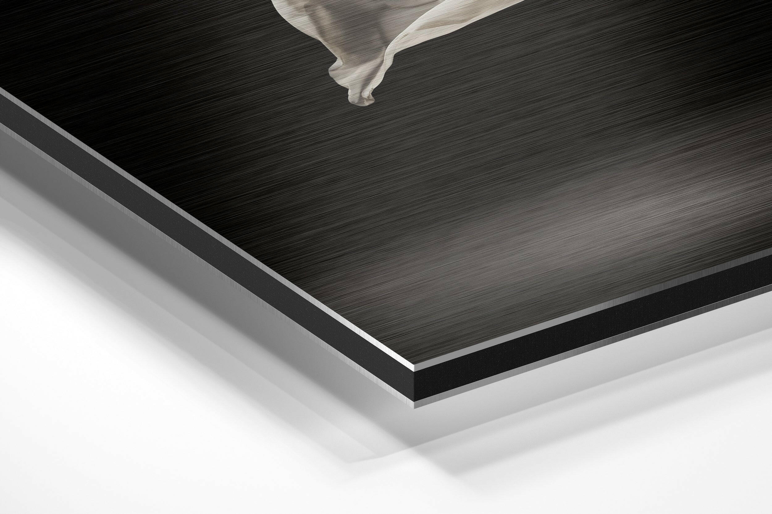 Ballerina Brushed Aluminium Dibond Wall Art.