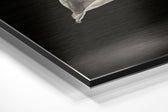 Ballerina Brushed Aluminium Dibond Wall Art.