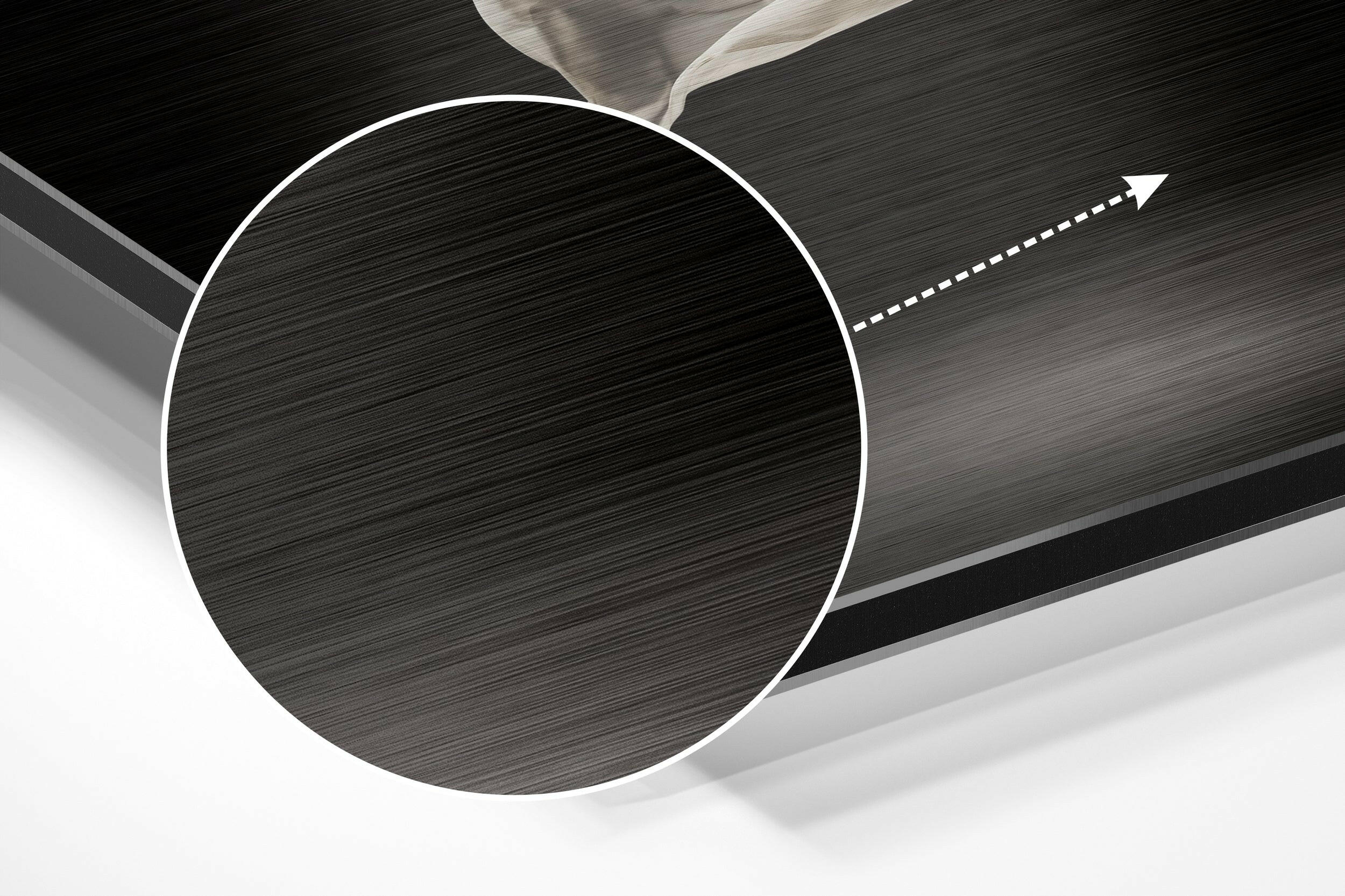 Ballerina Brushed Aluminium Dibond Wall Art.