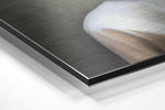 Butterfly Face Brushed Aluminium Dibond Wall Art.