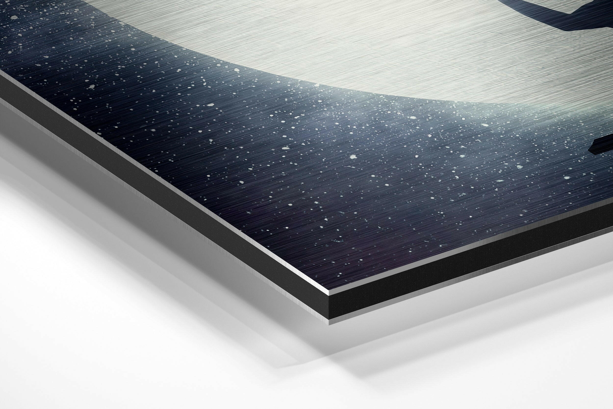 Balloon Brushed Aluminium Dibond Wall Art.