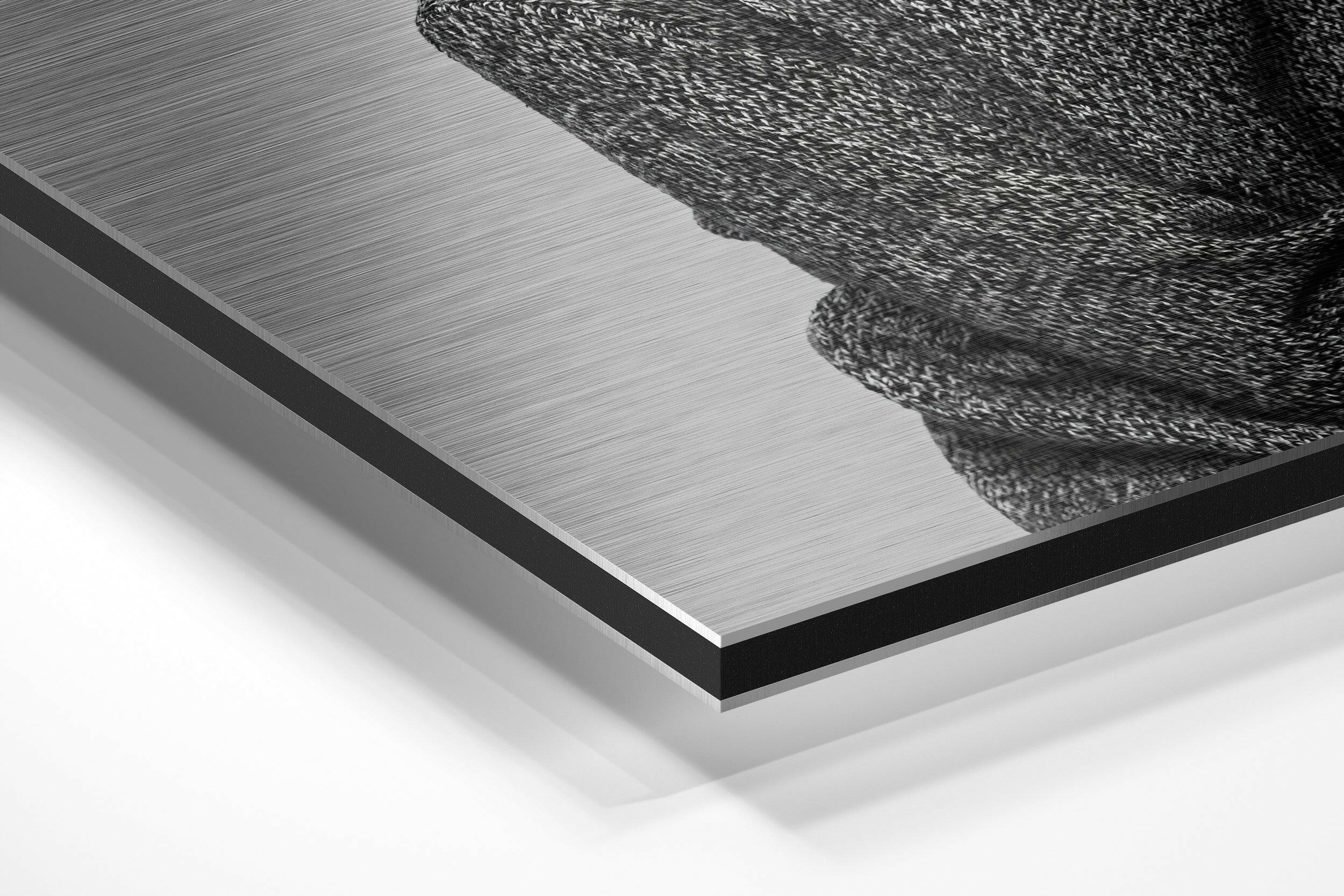 Goat-Headed Brushed Aluminium Dibond Wall Art.