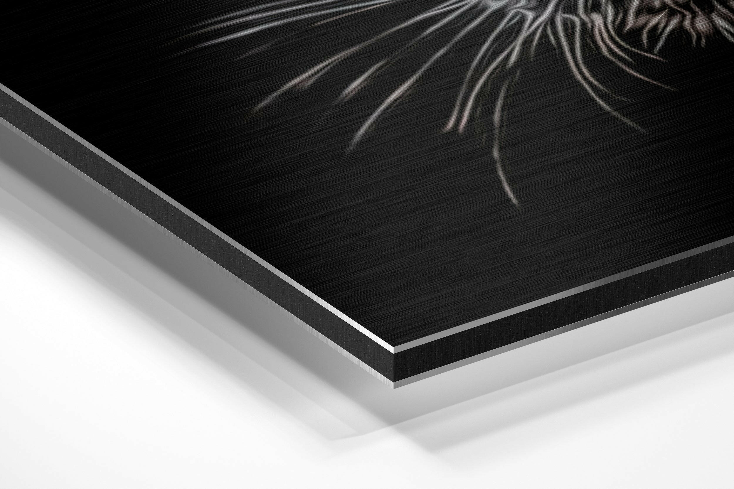 Black Panther Brushed Aluminium Dibond Wall Art.