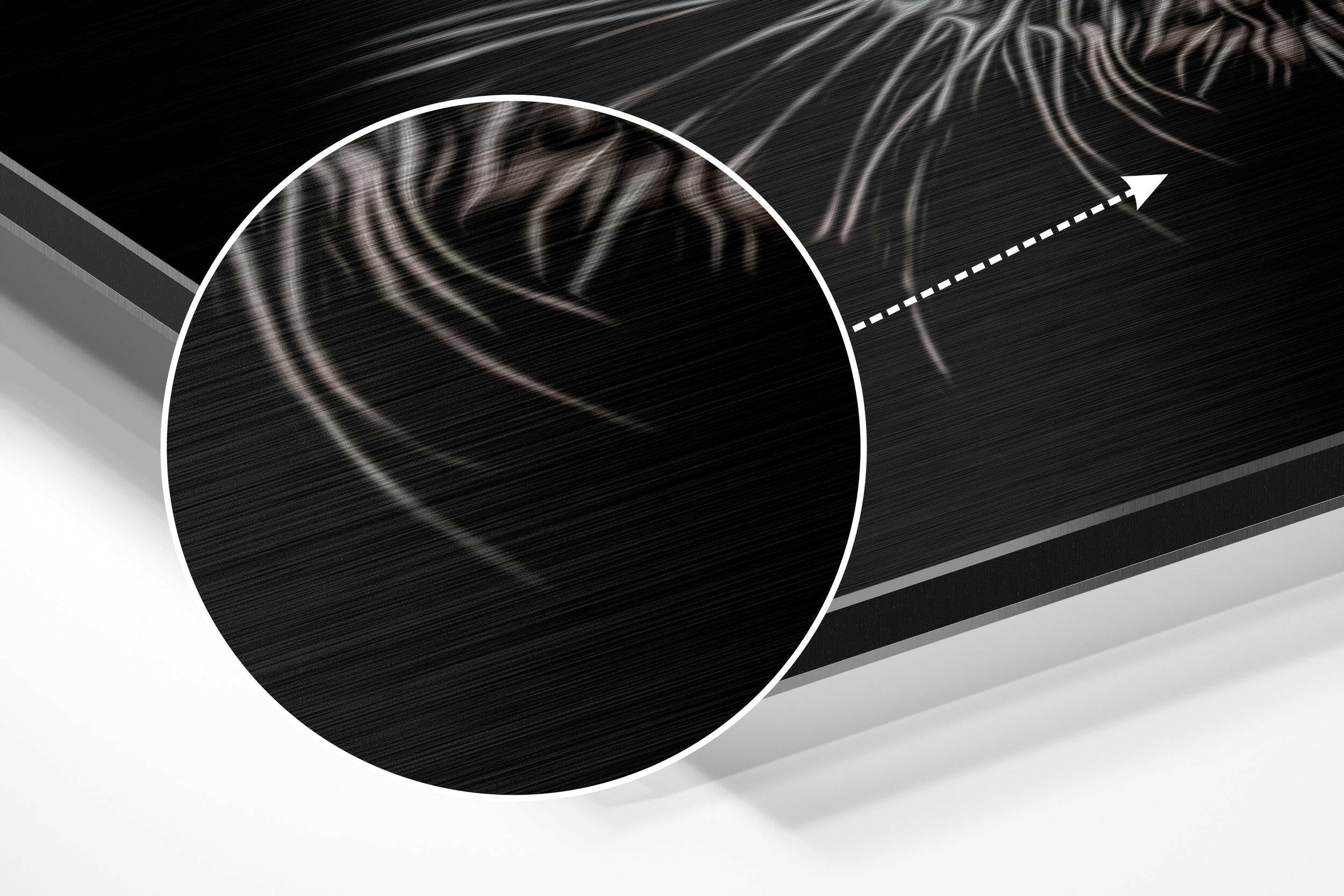 Black Panther Brushed Aluminium Dibond Wall Art.