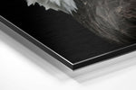 Eagle Brushed Aluminium Dibond Wall Art.