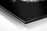 Dandelion Brushed Aluminium Dibond Wall Art.