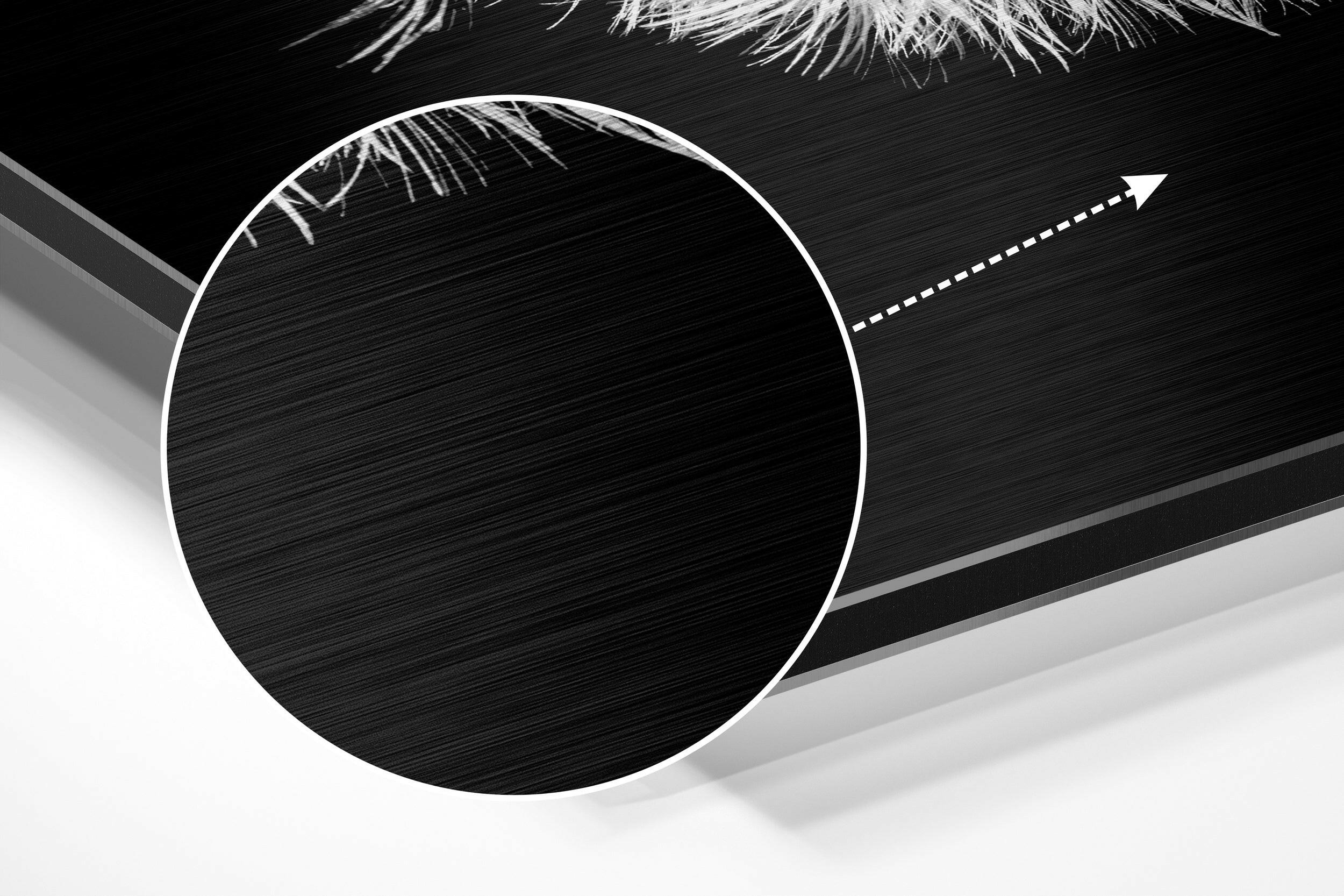 Dandelion Brushed Aluminium Dibond Wall Art.