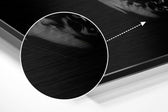 Skull Brushed Aluminium Dibond Wall Art.