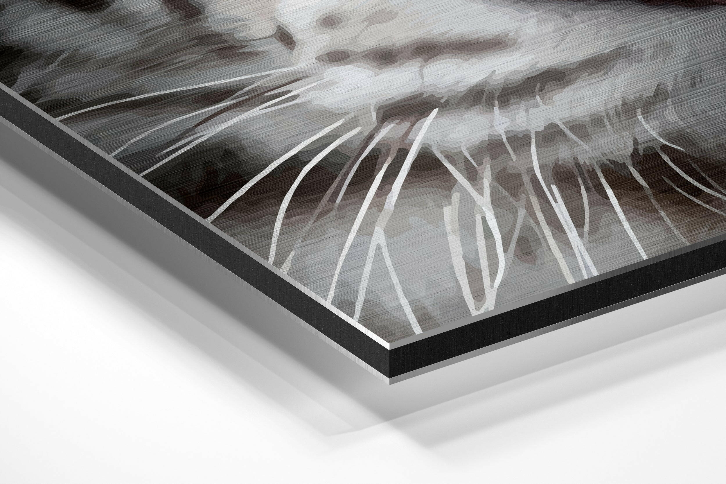 White Tiger Brushed Aluminium Dibond Wall Art.