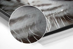 White Tiger Brushed Aluminium Dibond Wall Art.