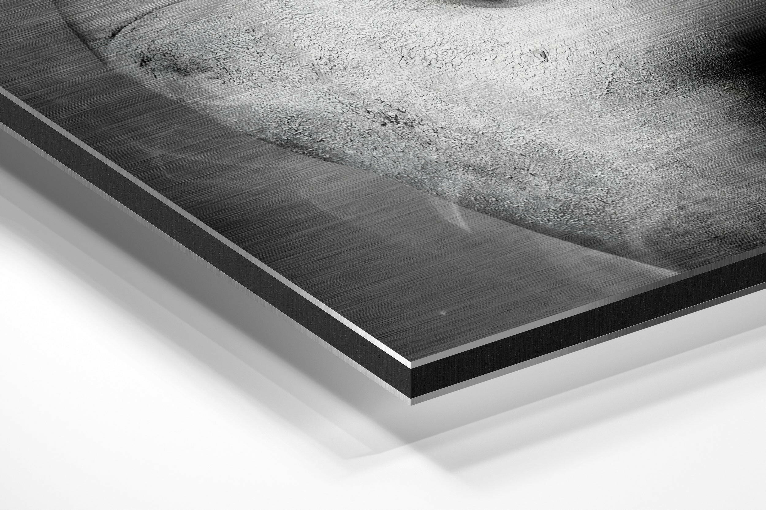 Dance with Smoke Brushed Aluminium Dibond Wall Art.