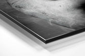 Dance with Smoke Brushed Aluminium Dibond Wall Art.