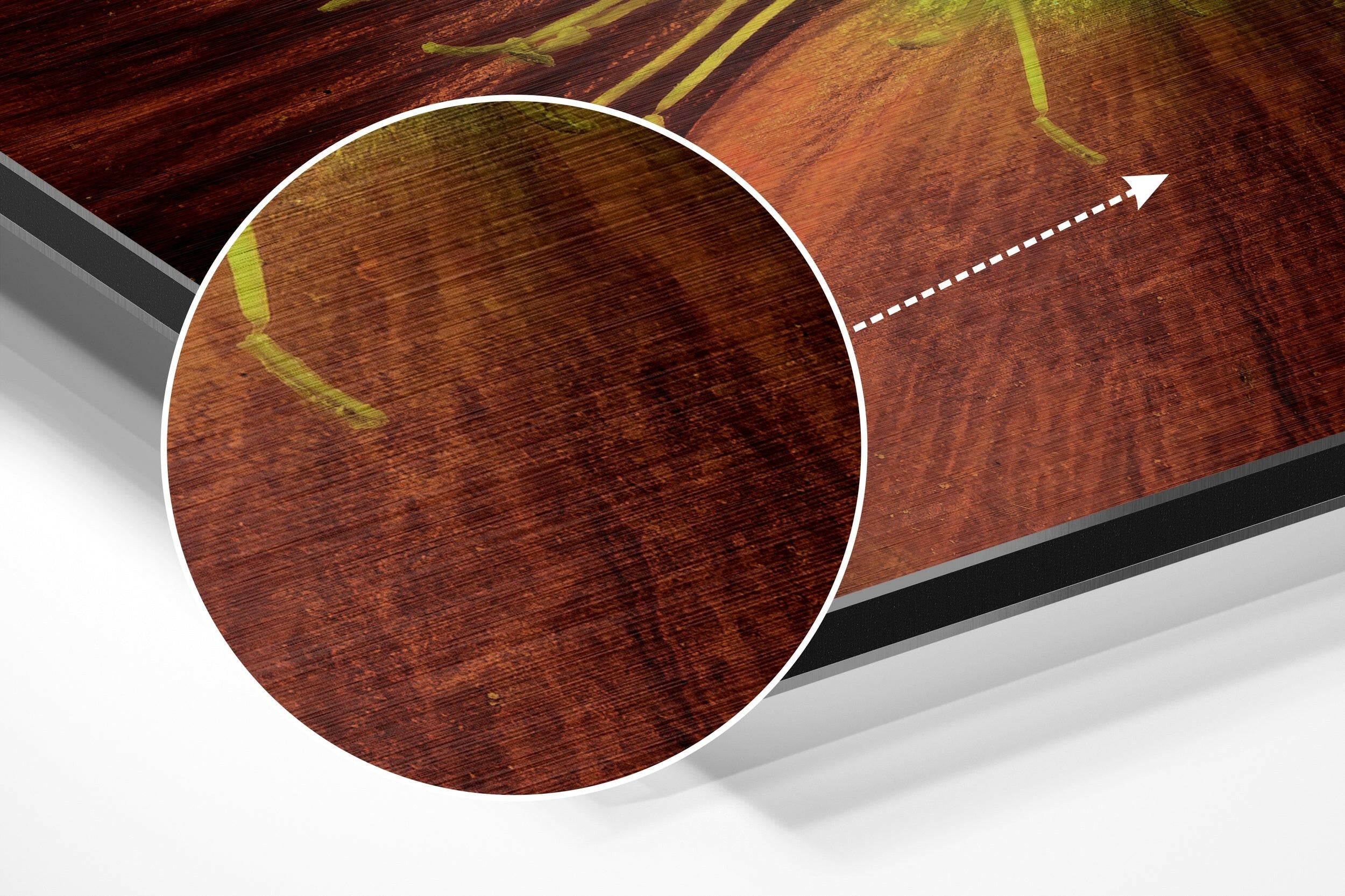 Flower Brushed Aluminium Dibond Wall Art.