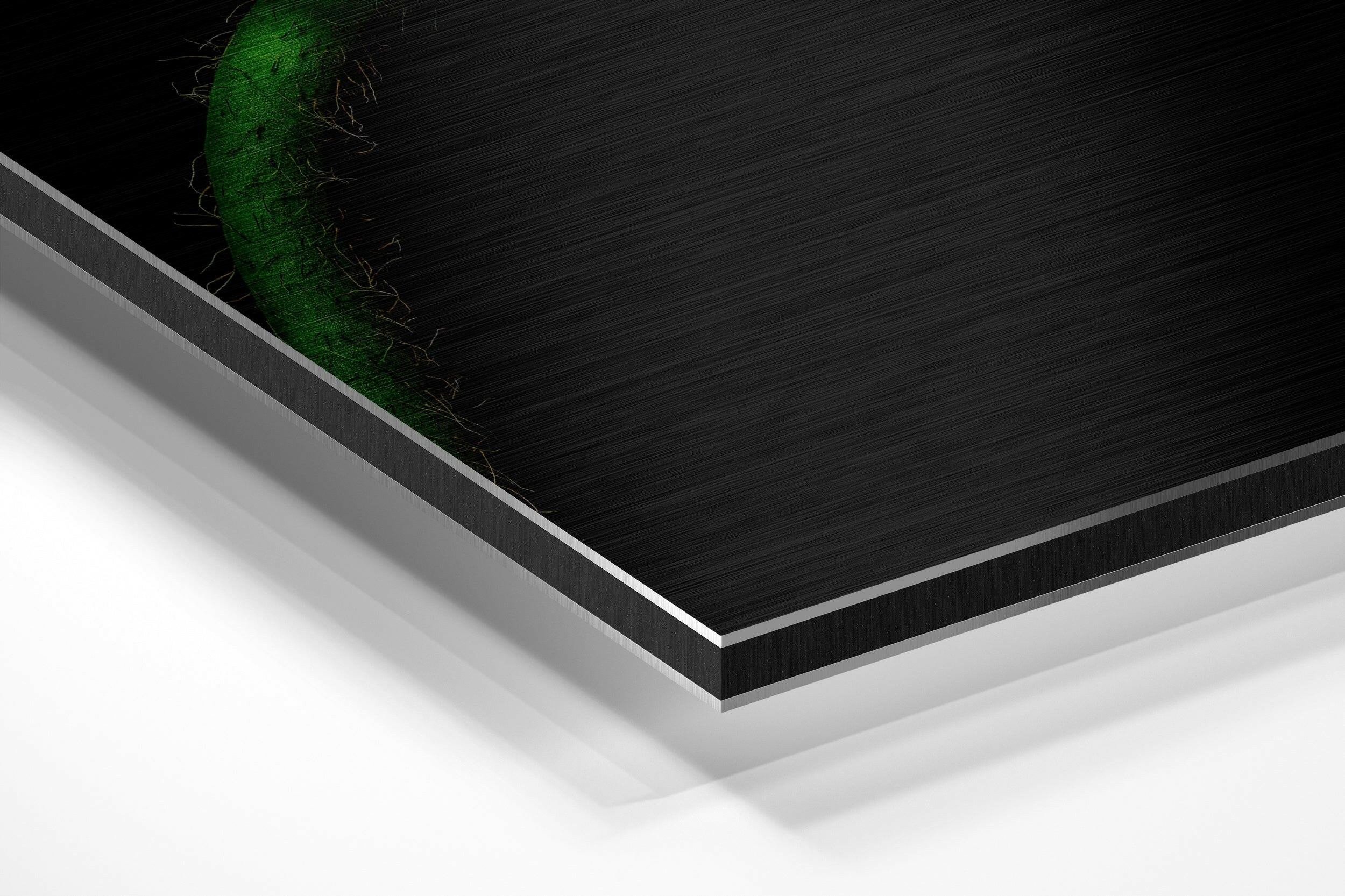 Flower Brushed Aluminium Dibond Wall Art.