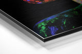 Sparkling Woman Brushed Aluminium Dibond Wall Art.