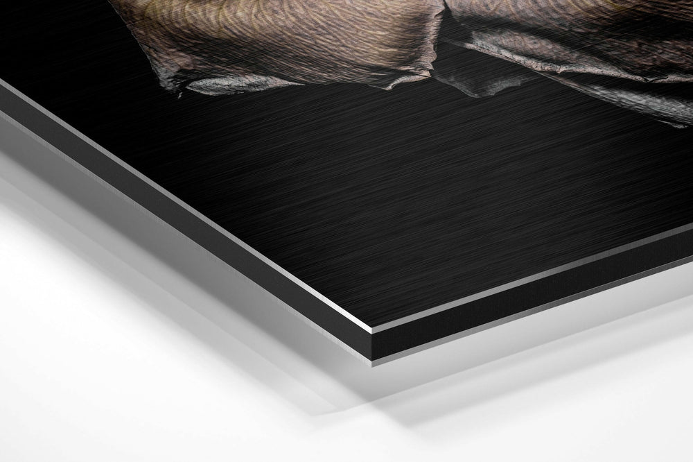 Rose Brushed Aluminium Dibond Wall Art.