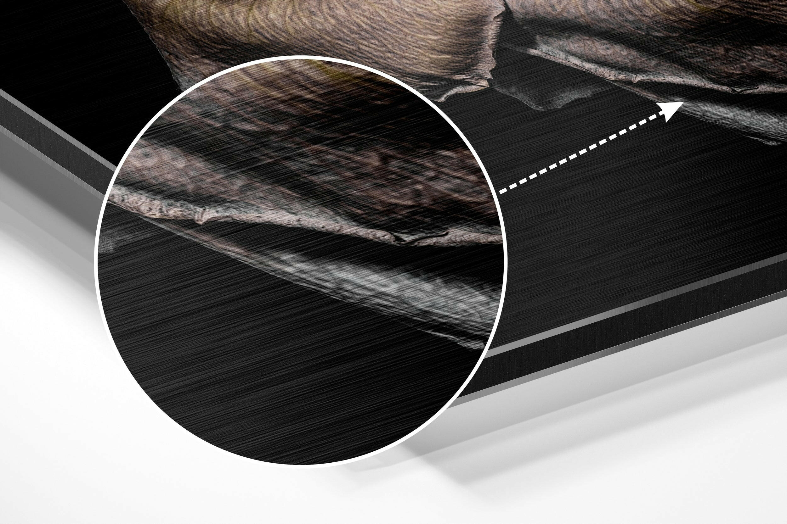 Rose Brushed Aluminium Dibond Wall Art.