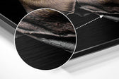 Rose Brushed Aluminium Dibond Wall Art.