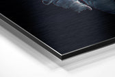 Space Traveller Brushed Aluminium Dibond Wall Art.
