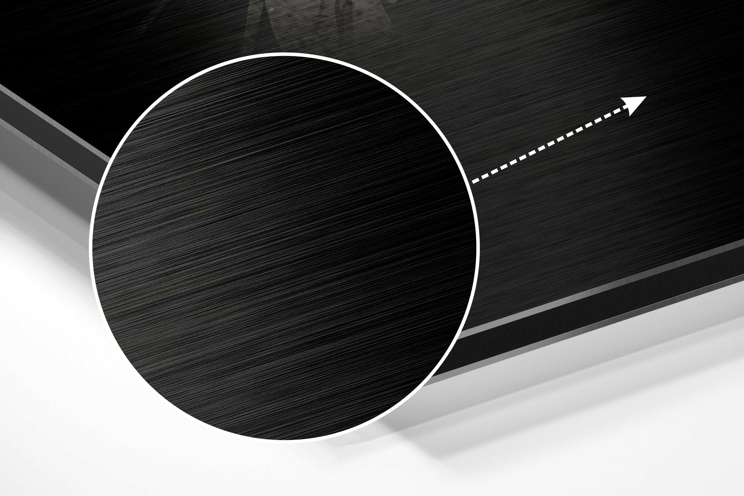 Bird Brushed Aluminium Dibond Wall Art.