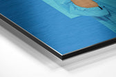 Lip Head Brushed Aluminium Dibond Wall Art.