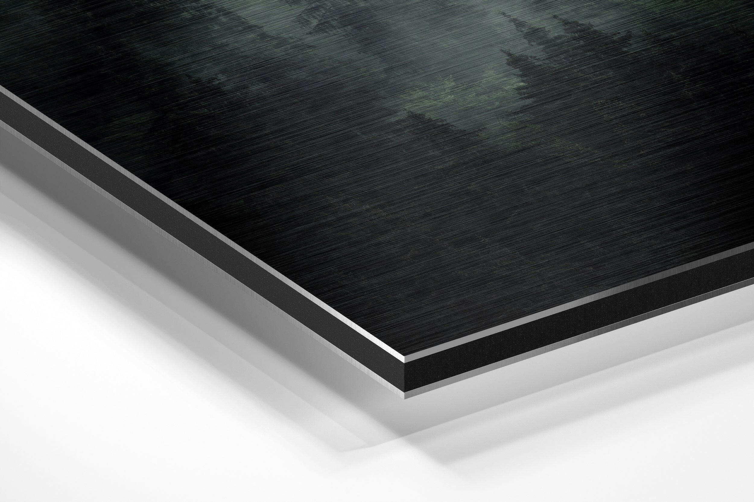 Forest Brushed Aluminium Dibond Wall Art.