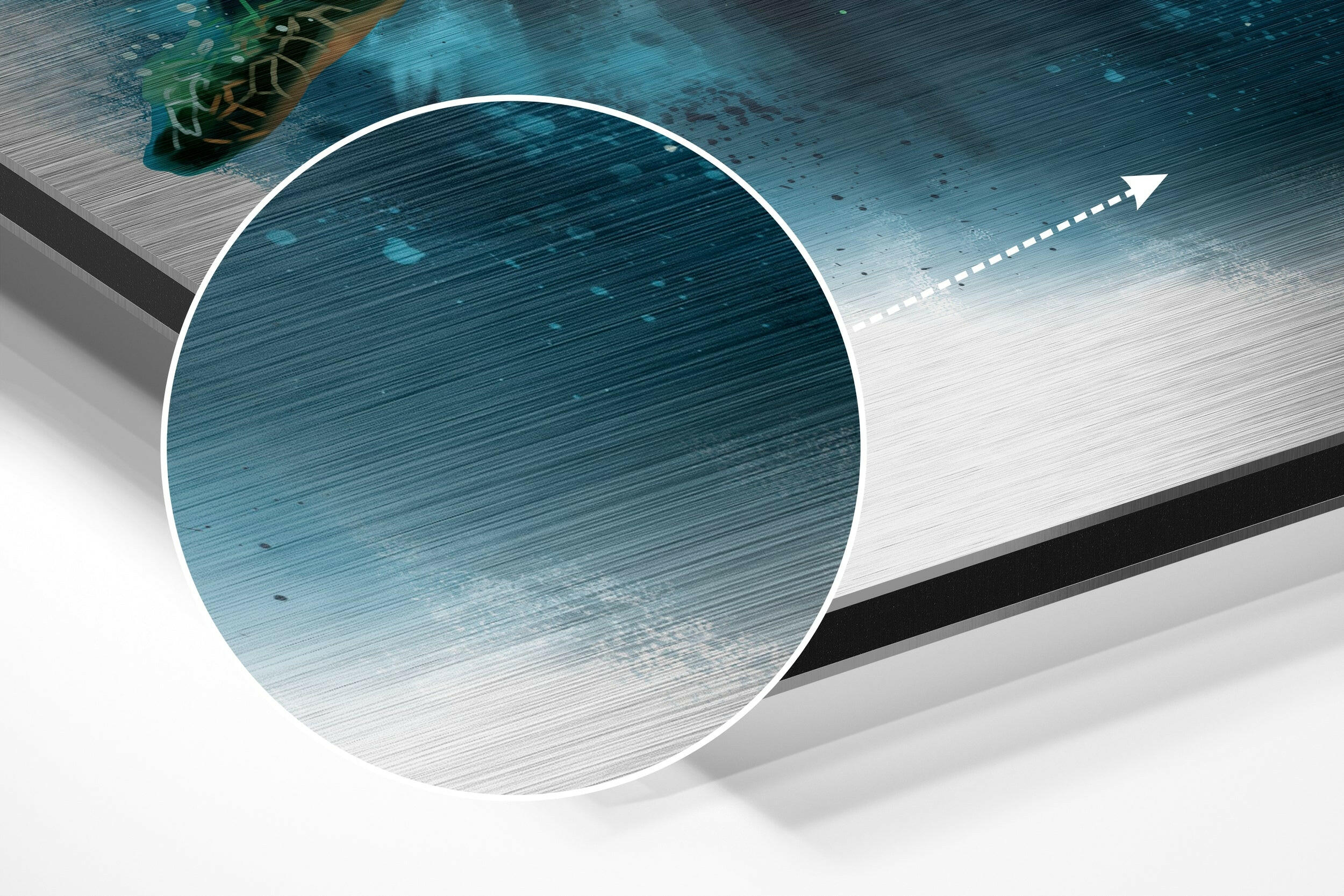 Turtle Brushed Aluminium Dibond Wall Art.