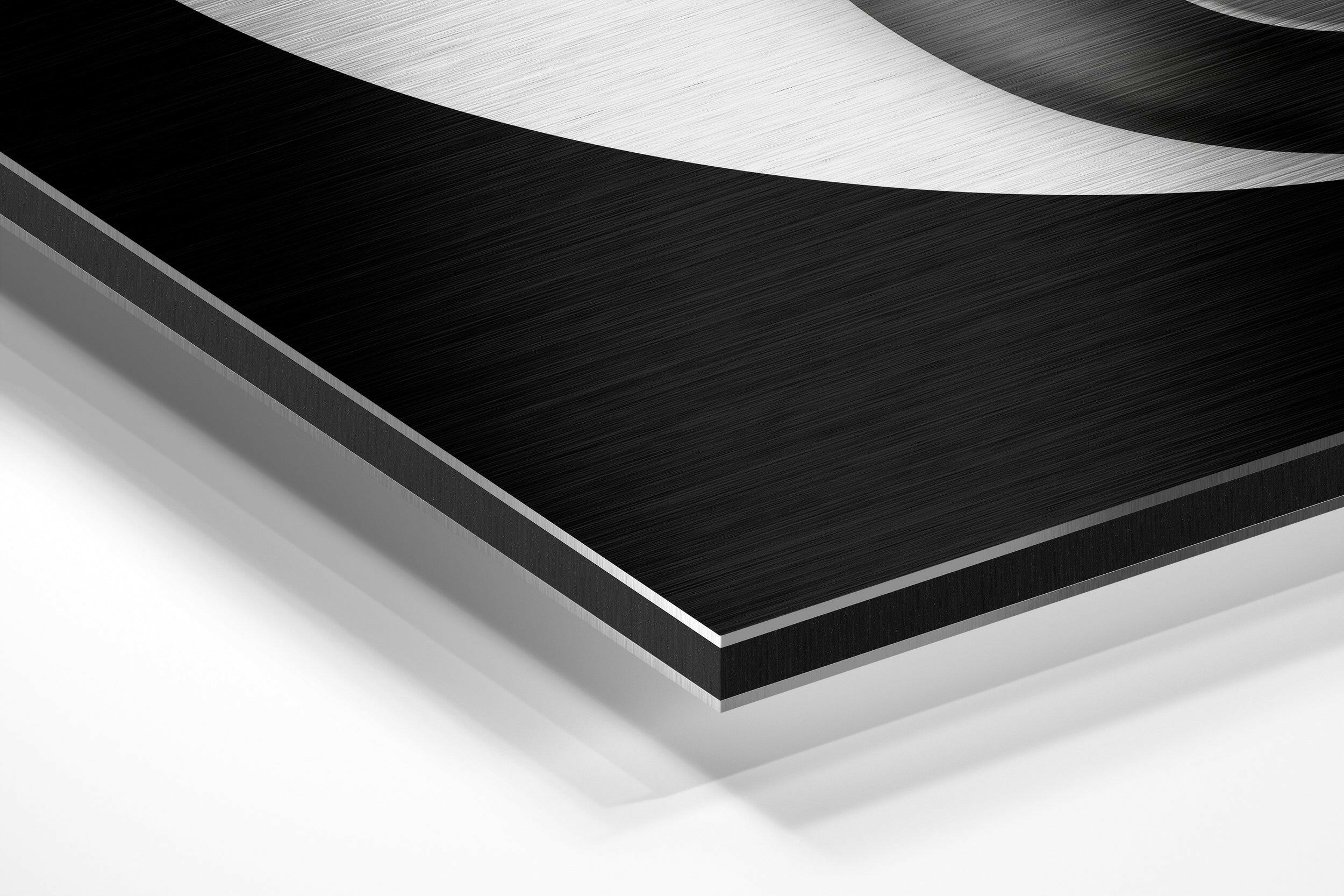 Ying Yang Skulls Brushed Aluminium Dibond Wall Art.