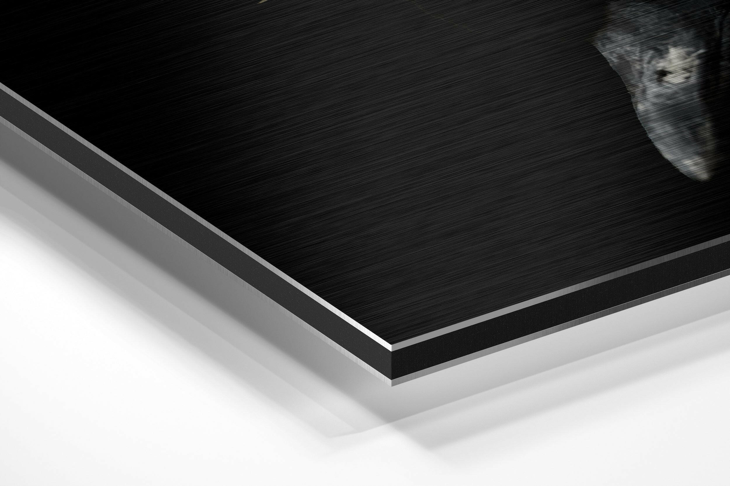 Peacock Brushed Aluminium Dibond Wall Art.