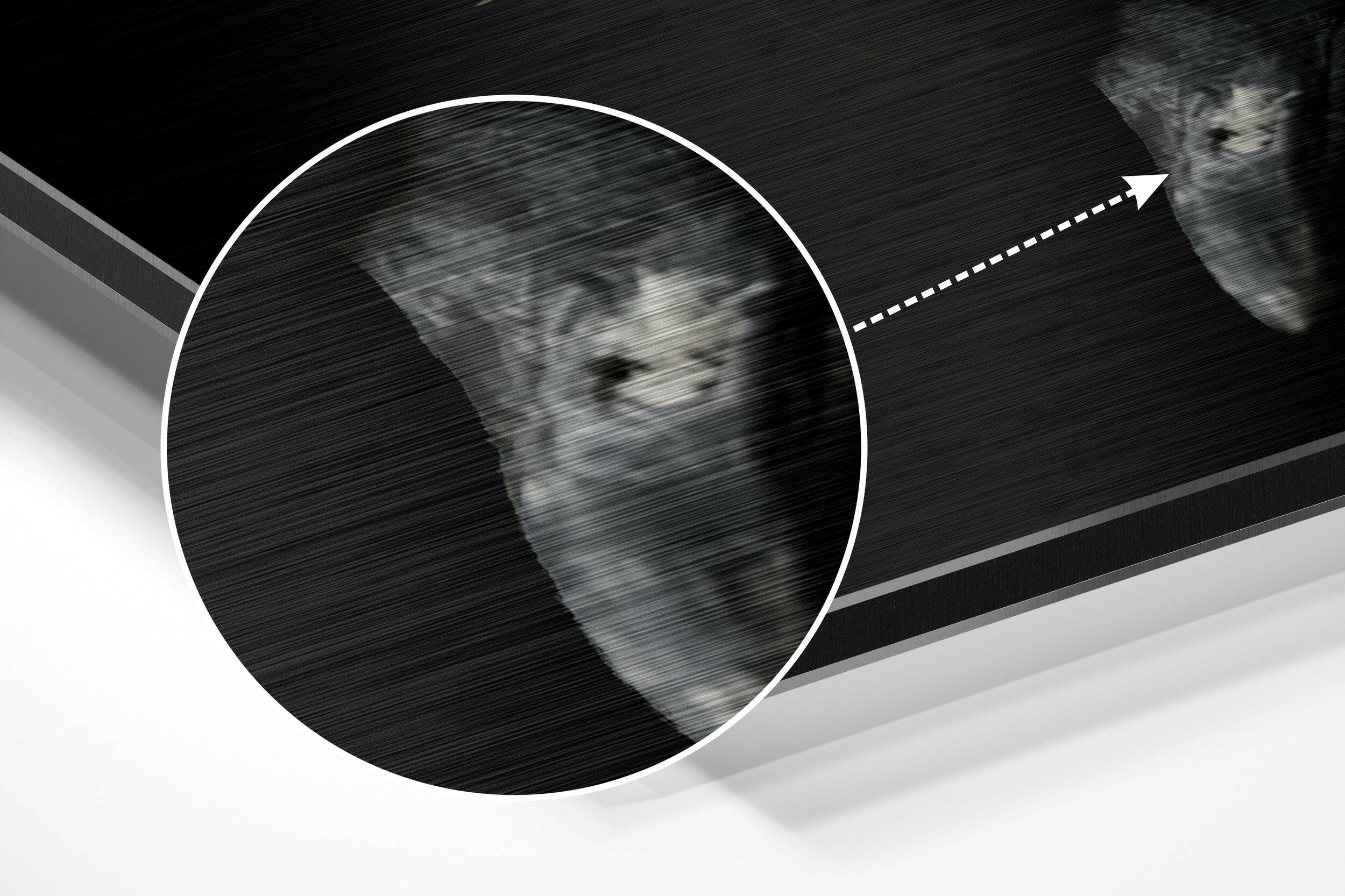 Peacock Brushed Aluminium Dibond Wall Art.